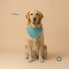 bandana para mascotas