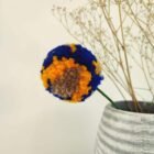 Flores de pompones
